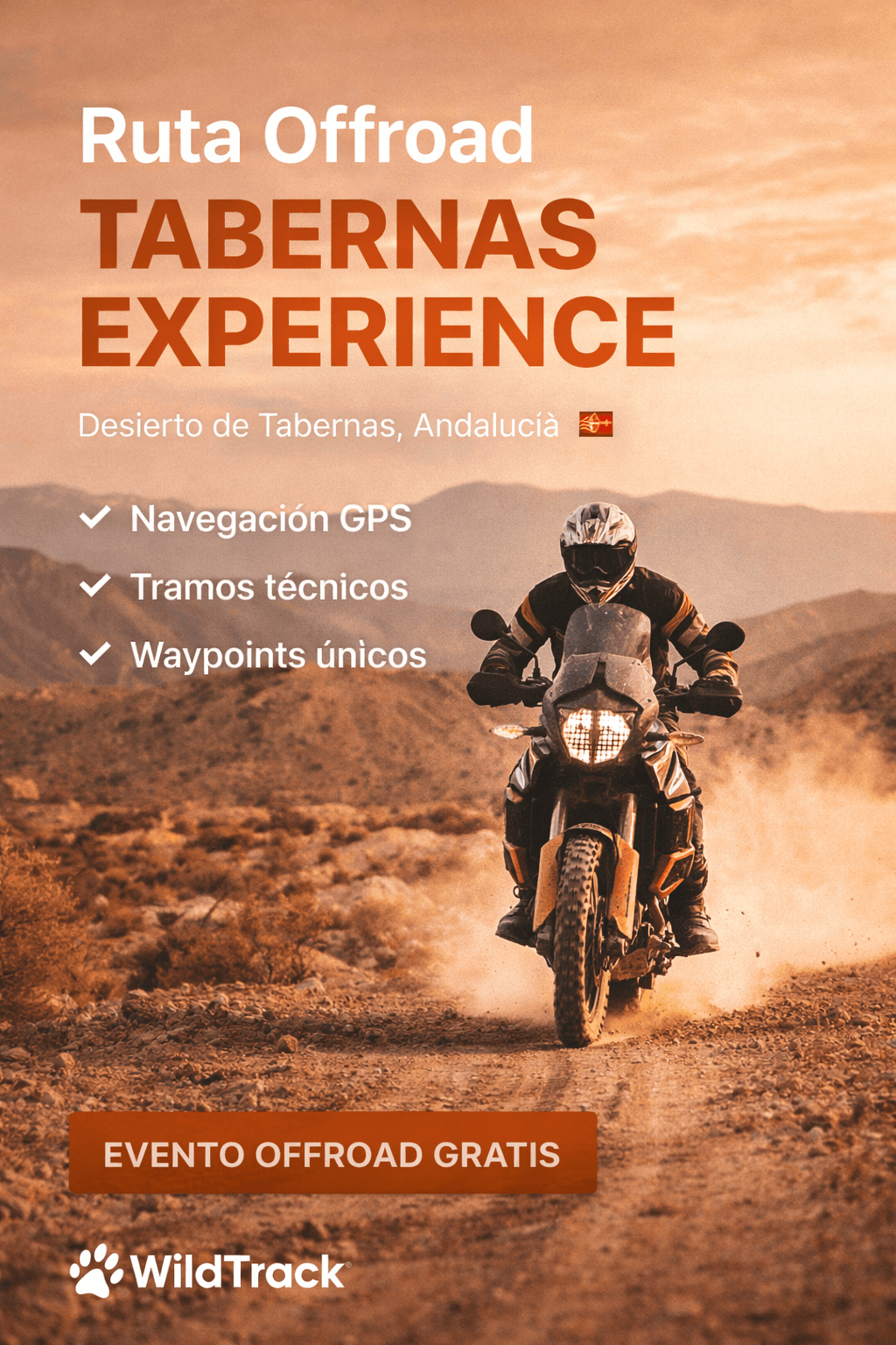 Ruta Offroad Tabernas Experience